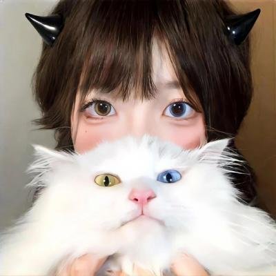 大小姐归来之唯一继承人